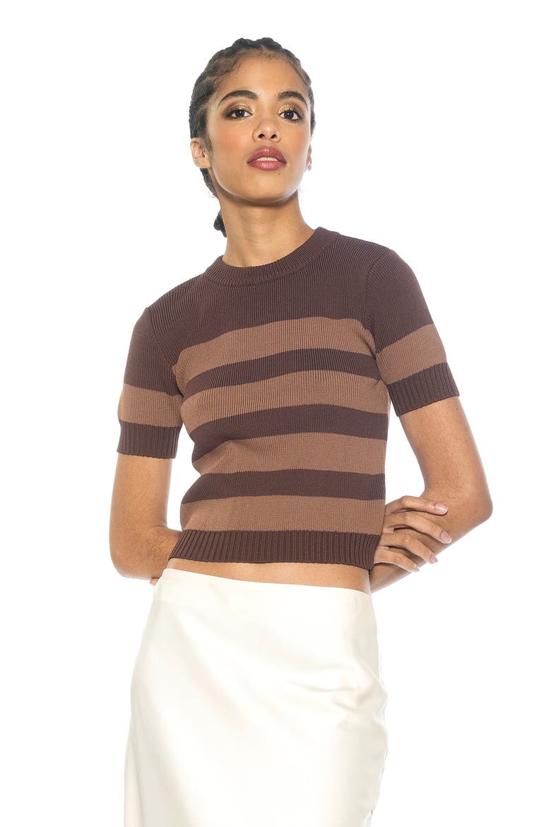 Pat Stripe Short Sleeve Sweater Top, Alternate, color, BROWN