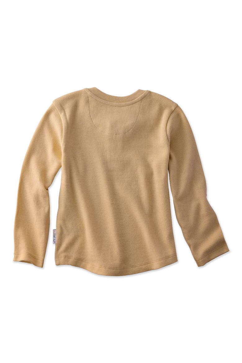 Kids' Payton Assorted 5-Pack Long Sleeve Organic Cotton Waffle Henley T-Shirts, Alternate, color, TERRA