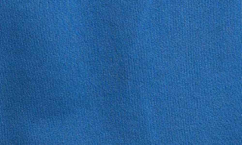 Elwood Vintage '85 St. Louis Blues Sweatshirt In Blue