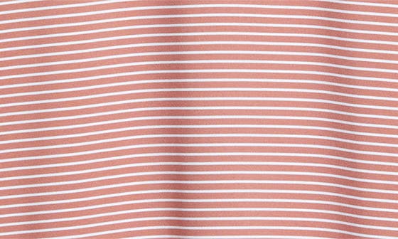 Мужские Peter Millar Crown Crafted Ballad Performance Polo — фото 7