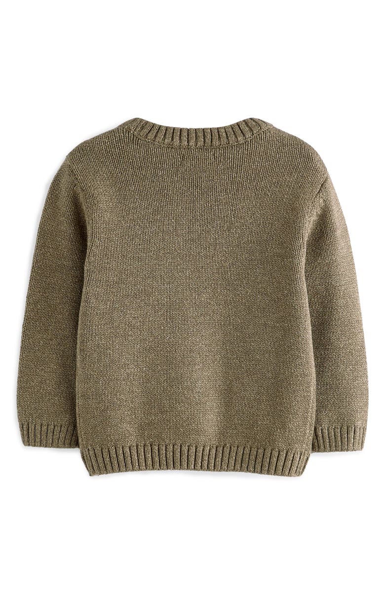 NEXT Kids' Safari Appliqué Cotton Graphic Sweater, Alternate, color,