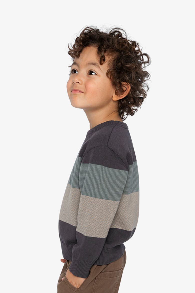 Colorblock Knit Ribbed Cuffs Crew Neck Sweater, Alternate, color, Black and Beige
