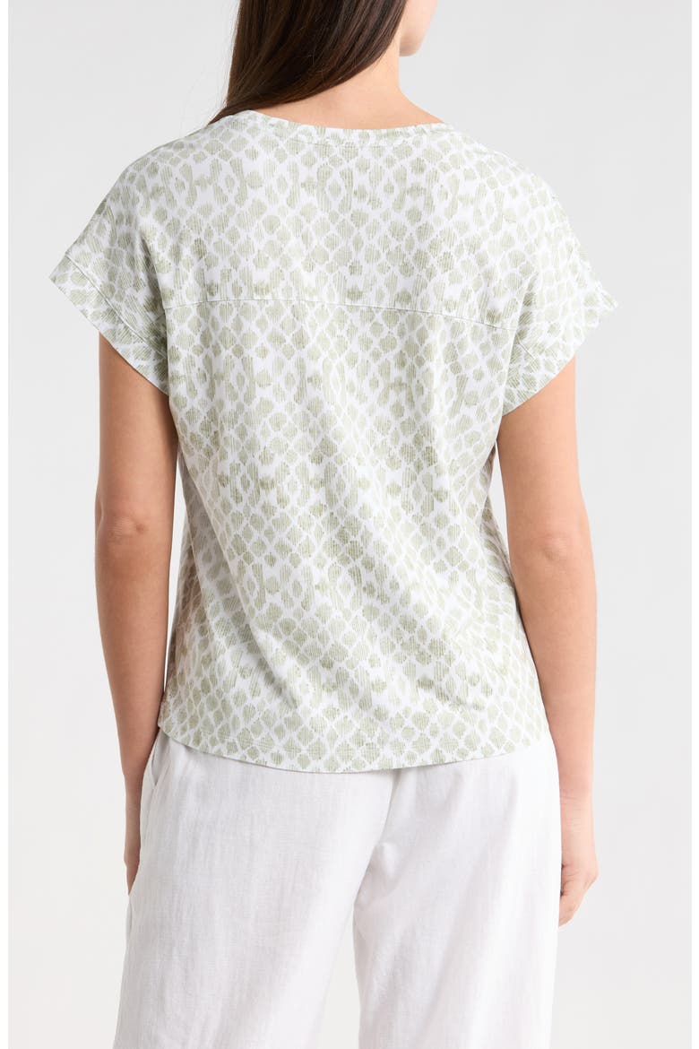 Coastal Sands V-Neck T-Shirt, Alternate, color, DESERT SAGE