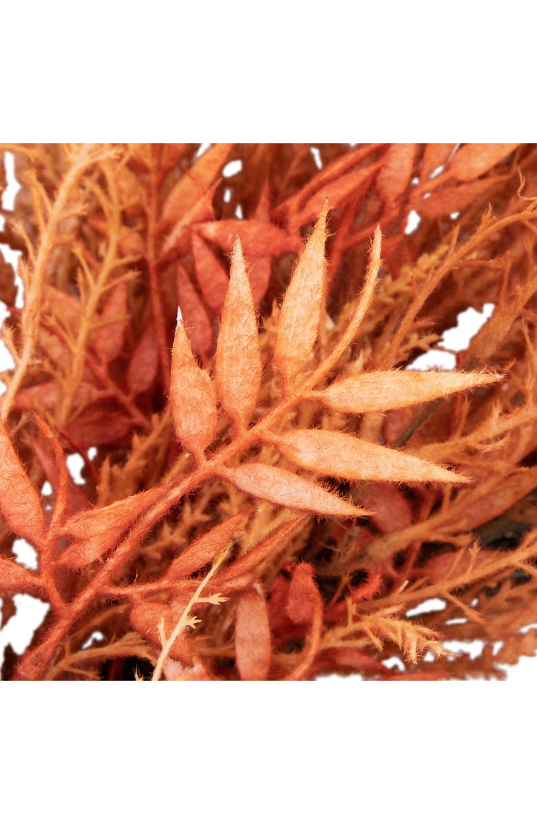 Northlight Peachy Pampas Grass Artificial Fall Harvest Wreath, 24-Inch - Unlit, Alternate, color, 