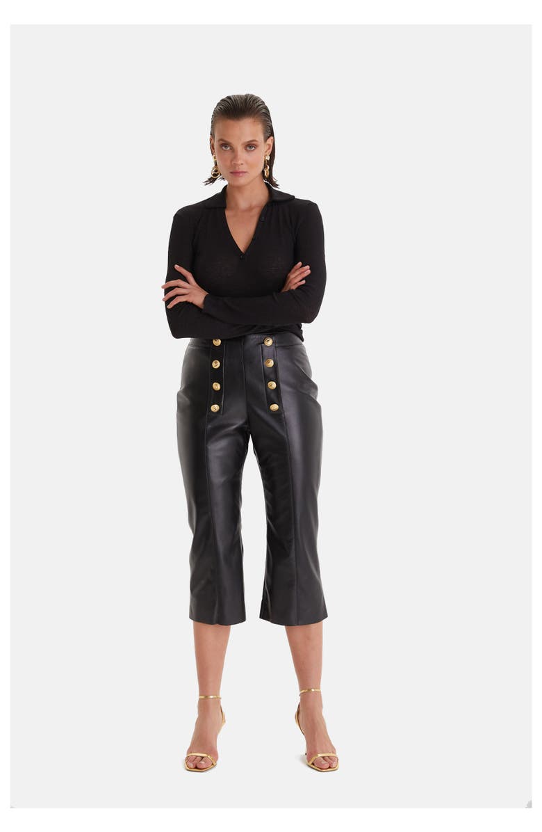 Furniq UK Leather Pants, Alternate, color, Black