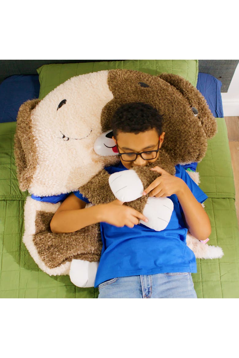 Large Pillow & Sleepy Sack, Alternate, color, Multicolored