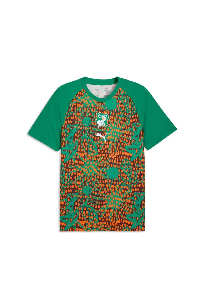 Men's Puma Green Ivory Coast National Team Pre-Match Jersey, Alternate, color, Green