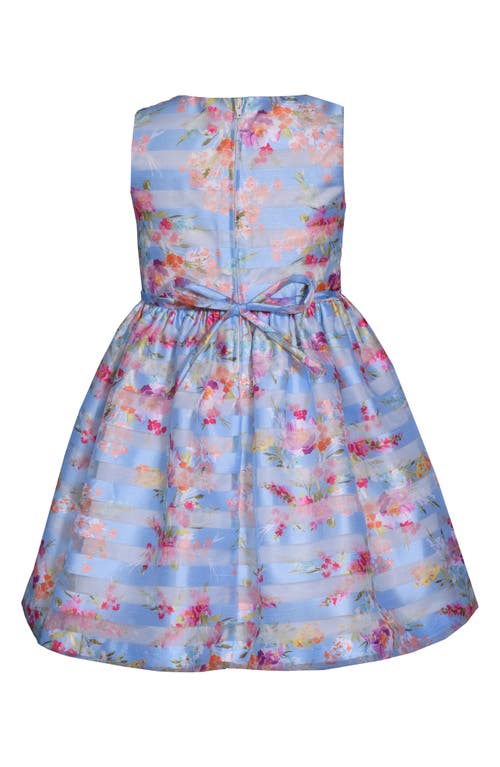 Iris & Ivy Kids' Floral Shadow Stripe Party Dress In Blue