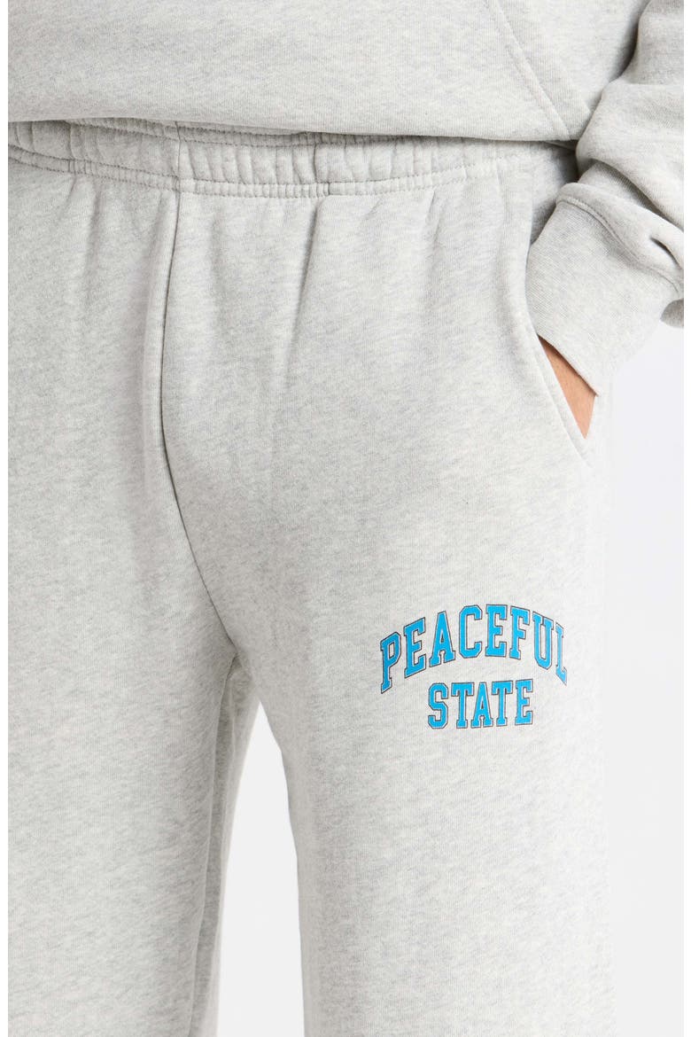 Peaceful Cotton Fleece Sweatpants, Alternate, color, ASH