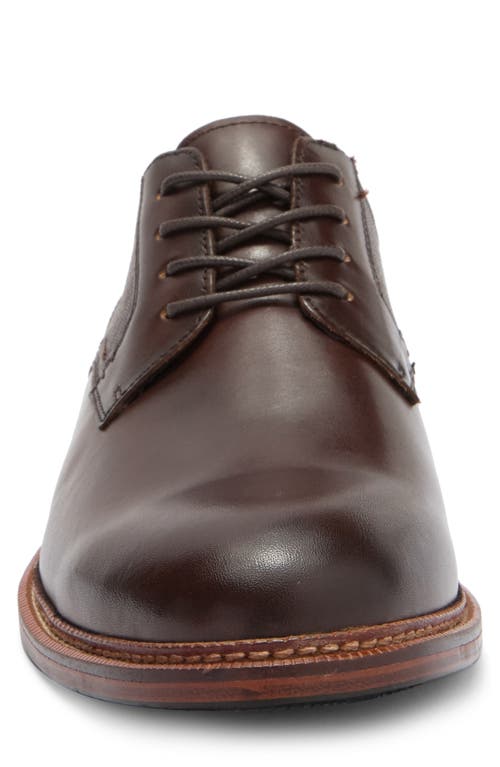 Steve Madden Espen Plain Toe Derby In Brown