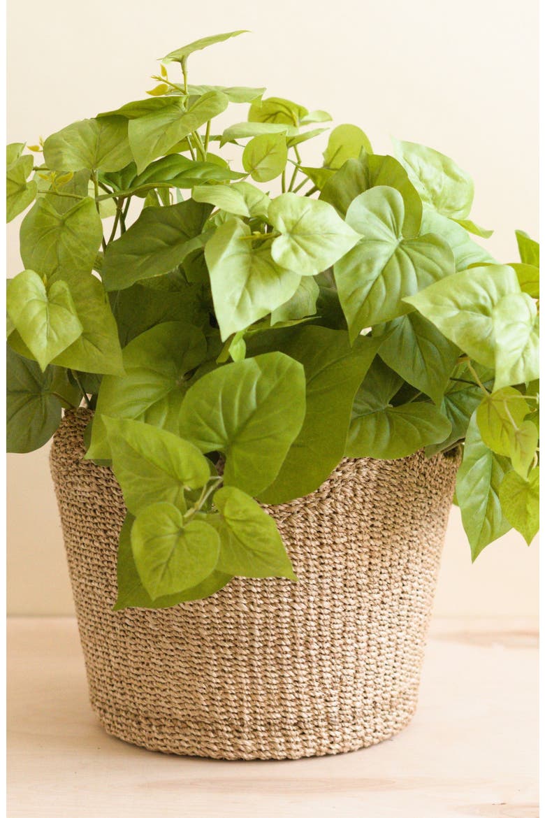 Scallop Edge Storage Basket, Alternate, color, Natural