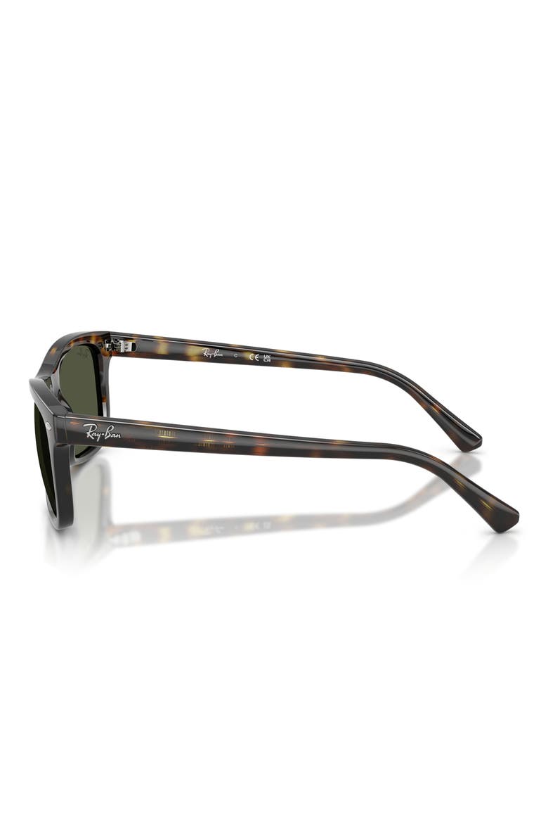 Square Sunglasses, Alternate, color, HAVANA / GREEN