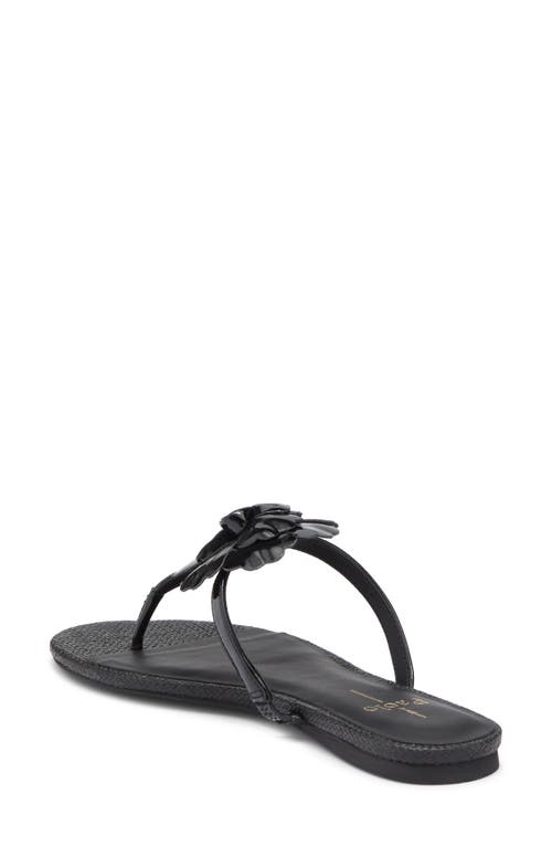 Linea Paolo Laurel Flower Sandal