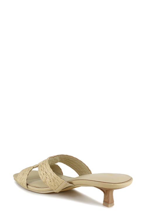 Splendid Hunter Kitten Heel Sandal In Natural
