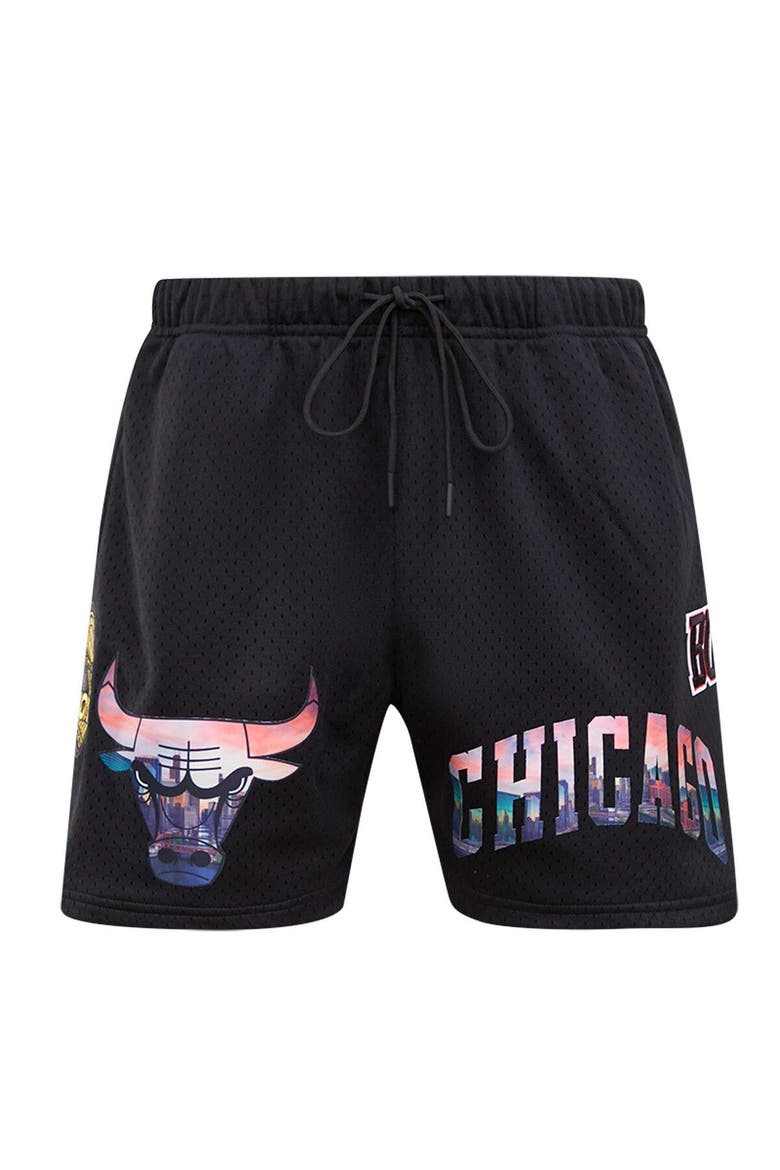 Men's Pro Standard Black Chicago Bulls City Scape Mesh Shorts, Alternate, color, Black