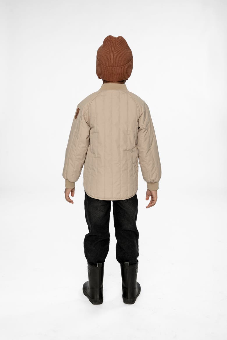 Quilted Raglan Sleeve Zip Pocket Jacket, Alternate, color, Beige