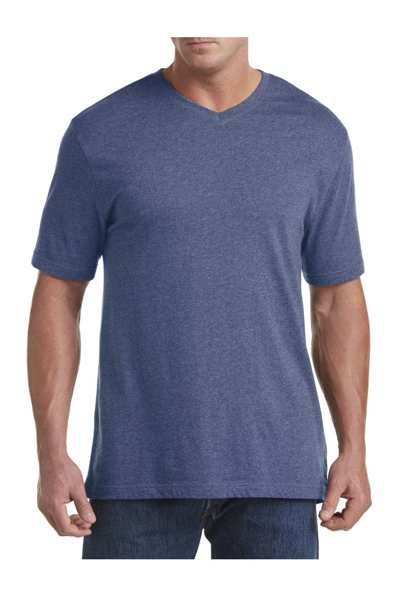Big & Tall Moisture-Wicking Jersey V-Neck T-Shirt, Main, color, LIMOGES HTHR