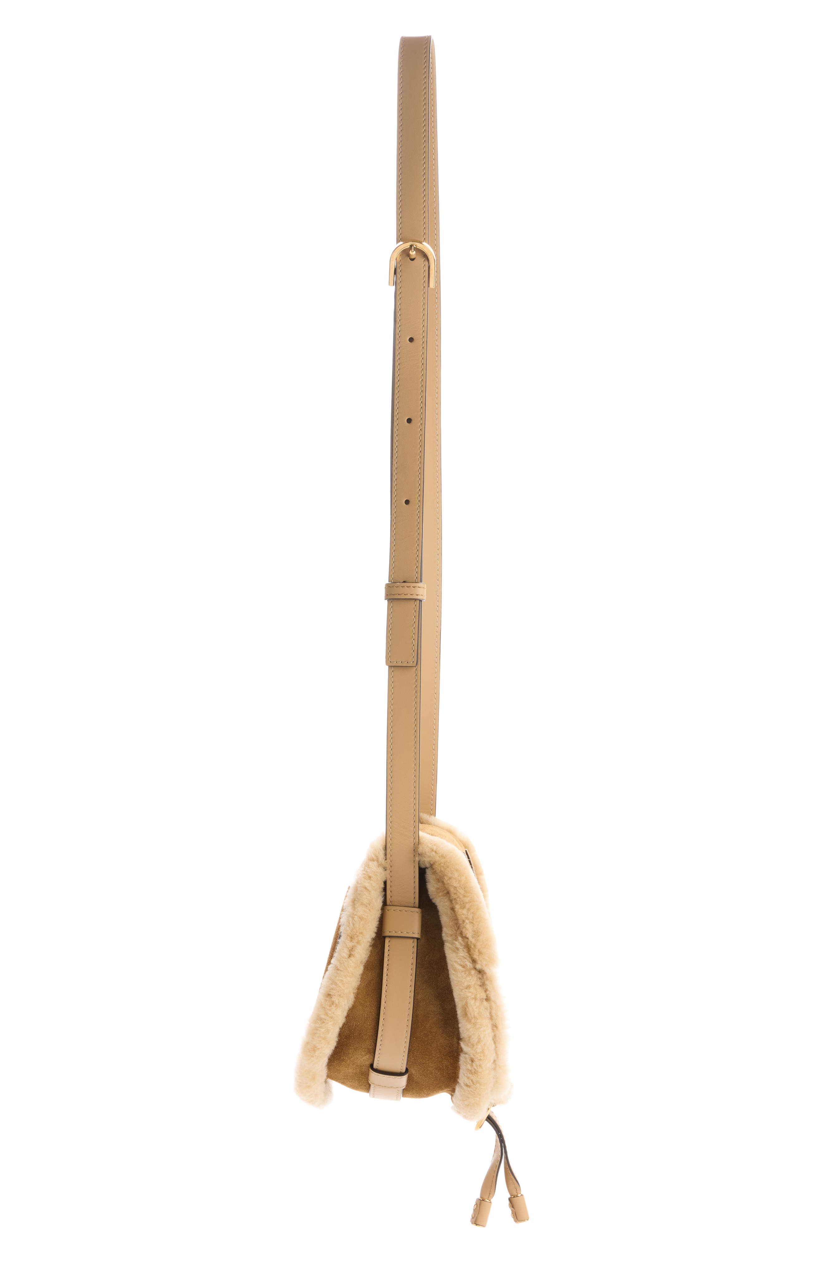 Chloé Medium Marcie Suede & Genuine Shearling Crossbody Bag, Alternate, color, Summery Beige
