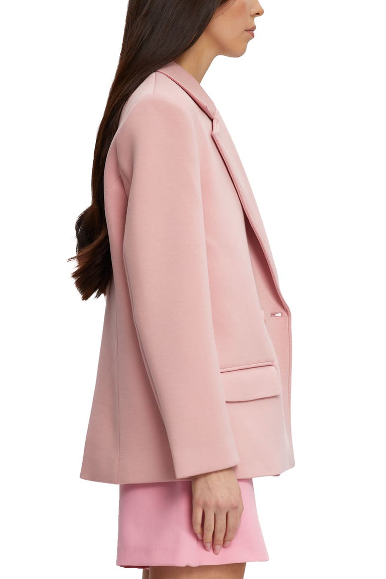 Braunwyn Notch Collar Blazer, Alternate, color, DEAUVILLE MAUVE