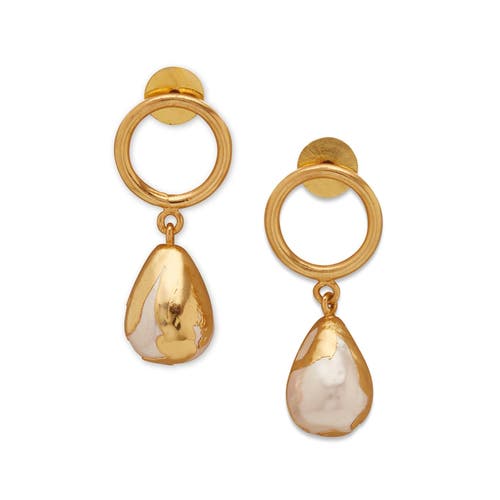 Dhwani Bansal LULUDROP EARRINGS in Gold Plated  product