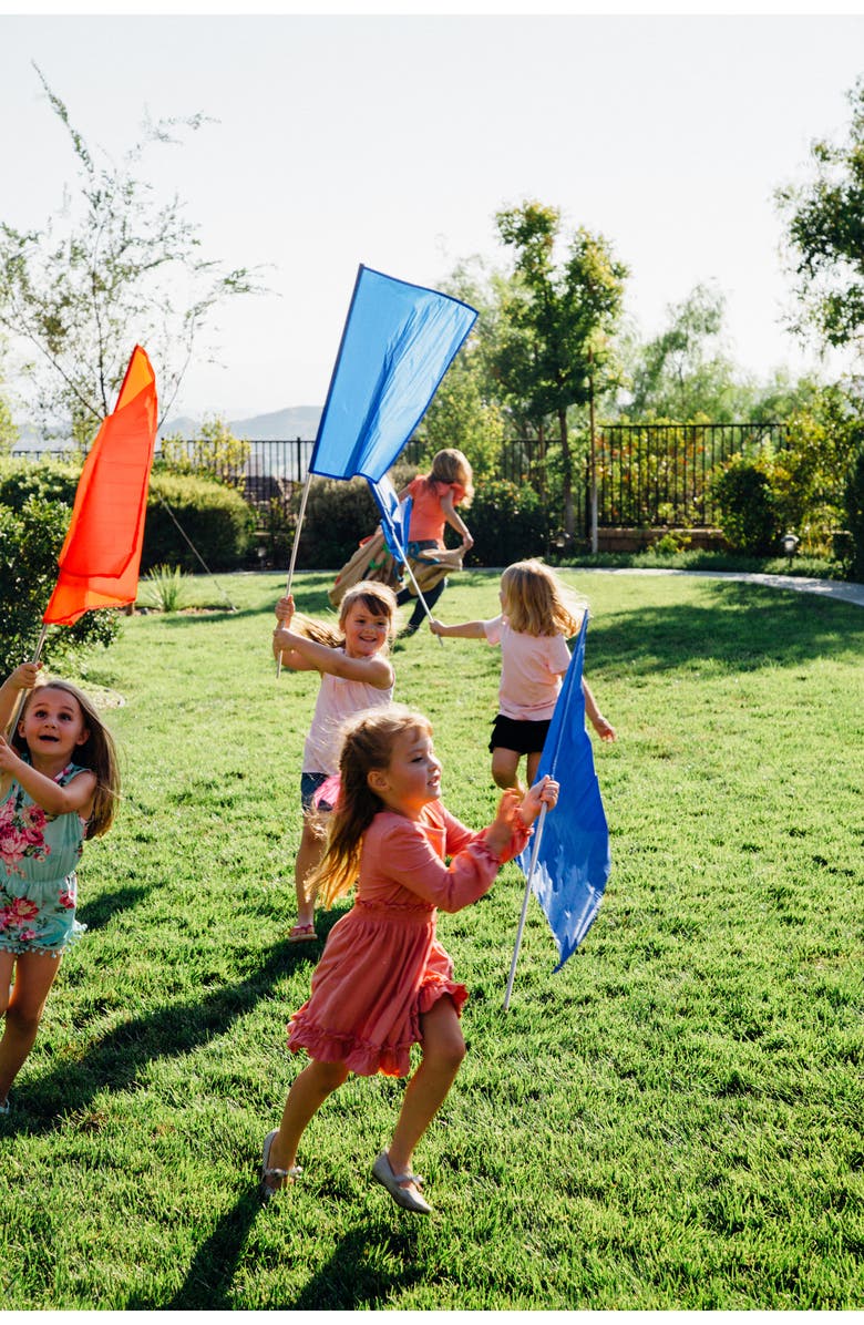 Pacific Play Tents 12-Pack Color Flags, Alternate, color, Blue