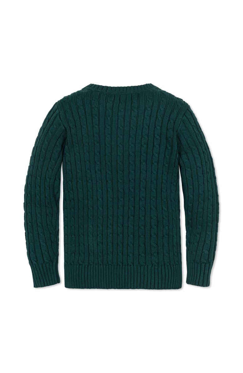 Hope & Henry Kids' Organic Cable Crewneck Pullover Sweater, Alternate, color, Deep Green Cable