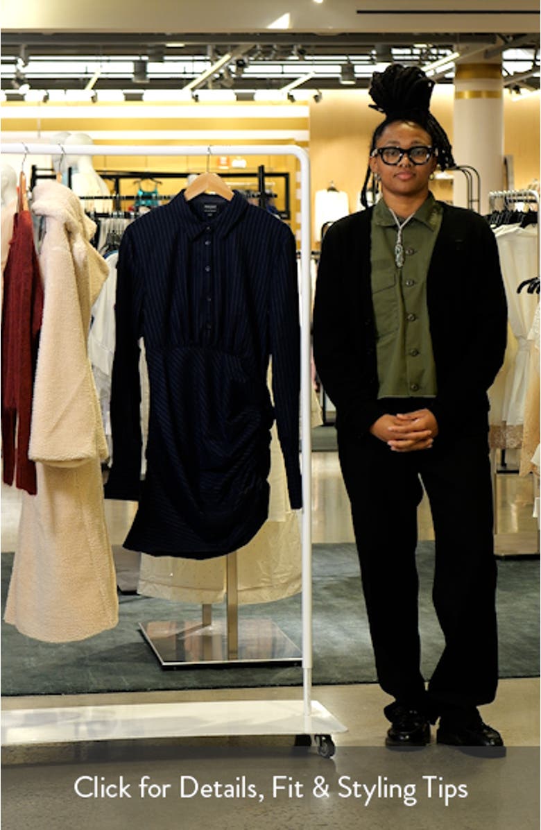 Viera Pinstripe Long Sleeve Mini Shirtdress, sales video thumbnail