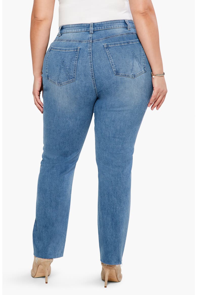 Ankle Straight Leg Jeans, Alternate, color, HORIZON