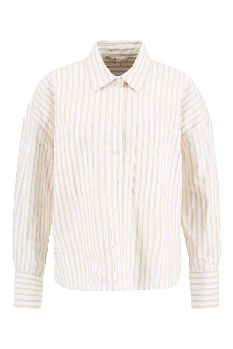 Lavensdale Cotton Oxford Shirt, Alternate, color, PALE CAMEL STRIPE