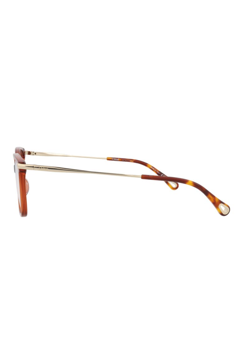 48mm Rectangle Optical Frames, Alternate, color, BROWN GOLD TRANSPARENT