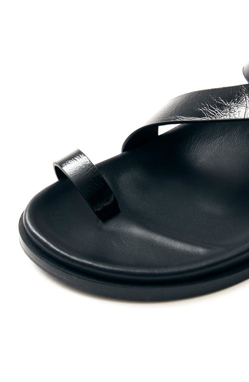 Alohas Flat Sandals With Adjustable Gold Buckle In Black