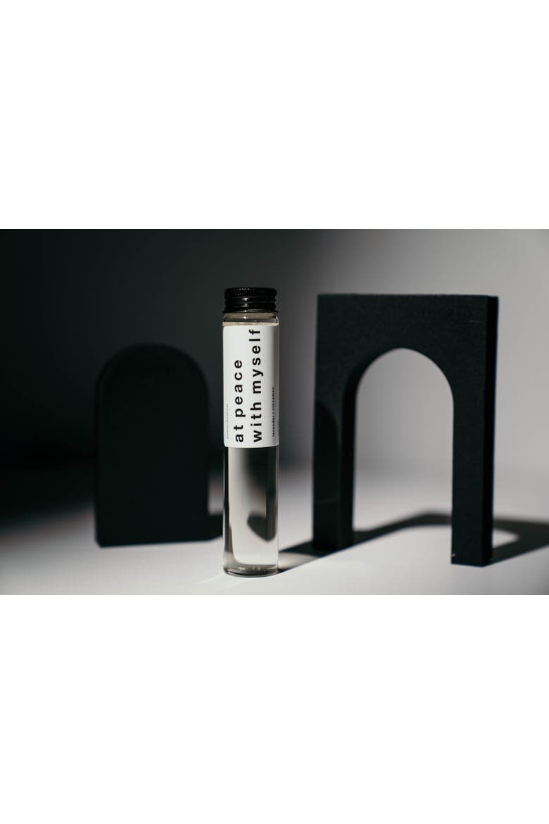 At Peace With Myself (Lavender + Cinnamon) - Diffuser Set, Alternate, color, At Peace With Myself