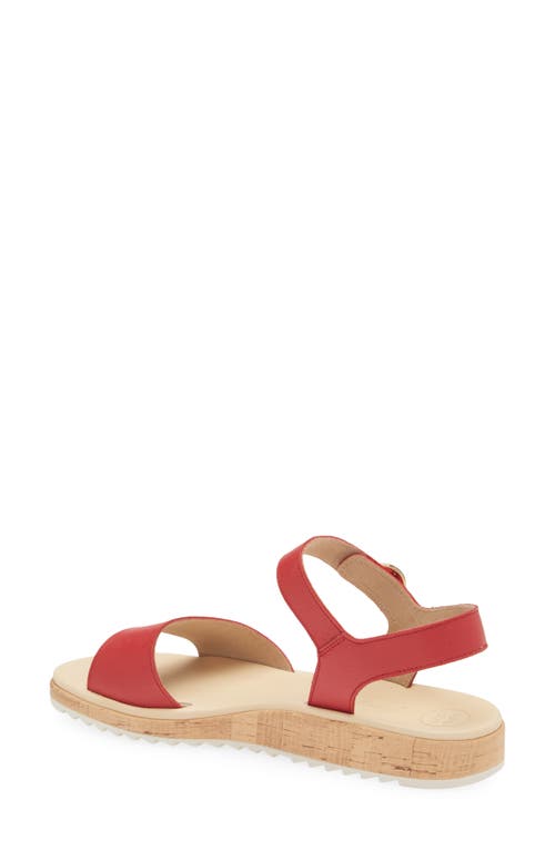 Paul Green Tippi Ankle Strap Platform Wedge Sandal In Salsa Leather