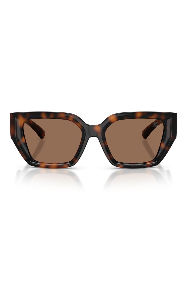 53mm Square Sunglasses, Main, color, DARK HAVANA / DARK BROWN