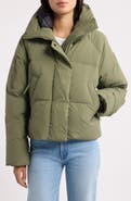 Canada Goose Chilliwack 750 Fill Power Down Puffer Jacket