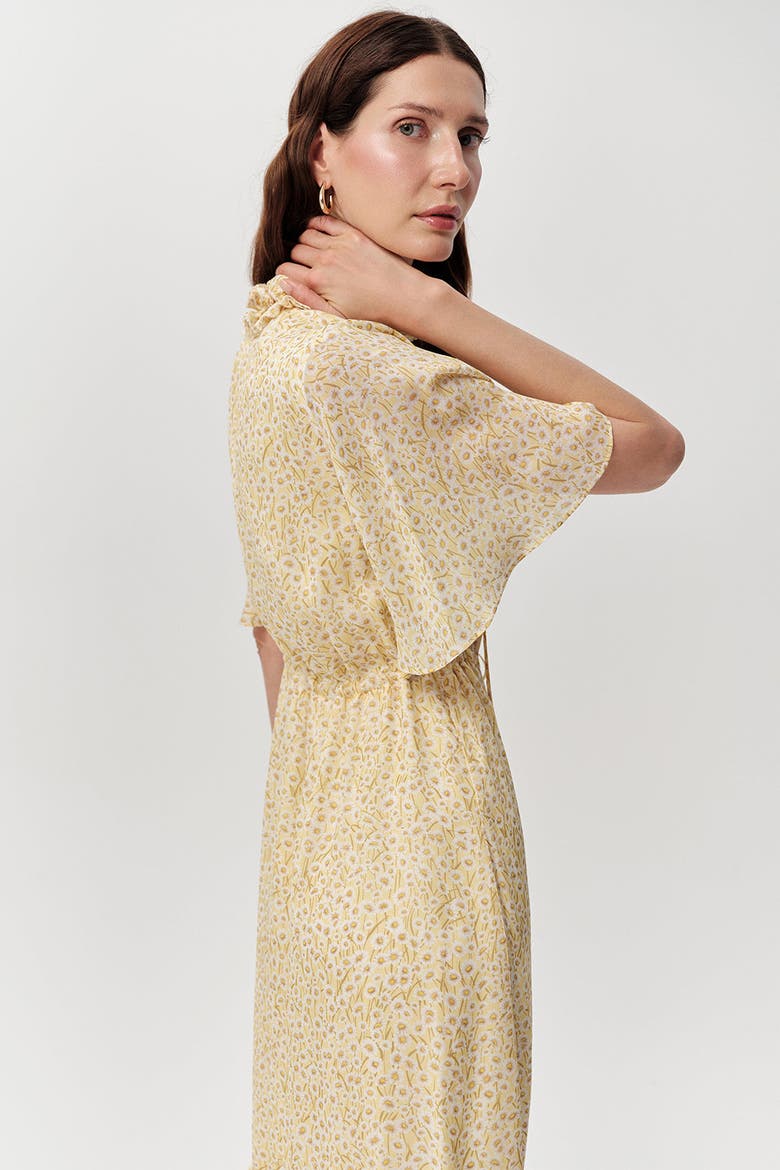 Douglas Short Sleeve Tie Waist Lined Printed Midi Dress, Alternate, color, Multi Color