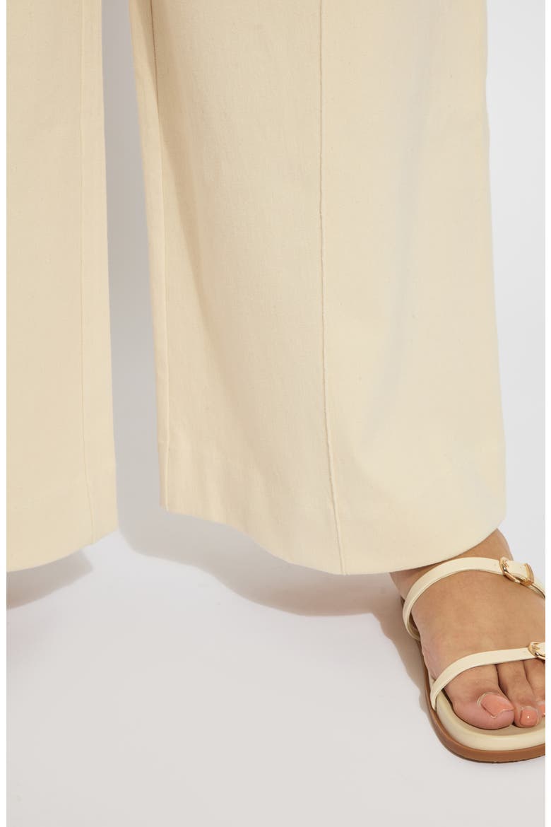 Nova Pintuck Pull-On Wide Leg Pants, Alternate, color, COCO CLAY