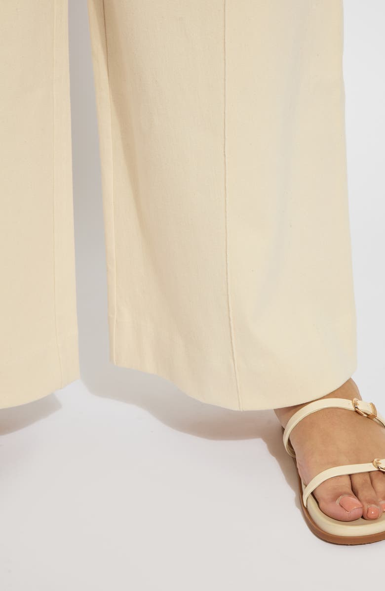 Lysse Nova Pintuck Pull-On Wide Leg Pants, Alternate, color, Coco Clay