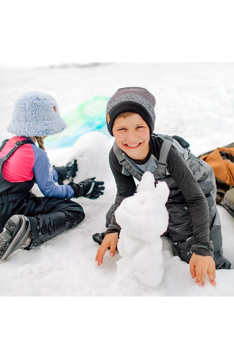 Turtle Fur Youth BTV Wool Beanie, Alternate, color, Black Heather