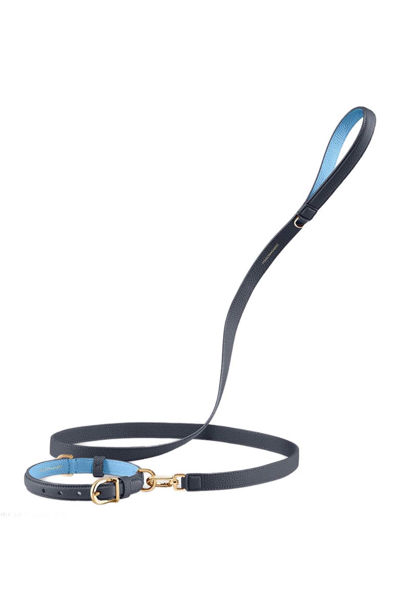 MAISON de SABRÉ Leather Dog Leash, Alternate, color, 