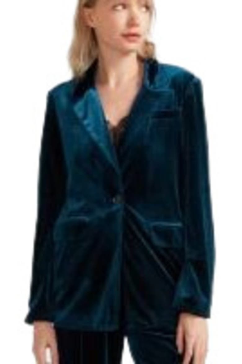 Eternity Velvet Blazer, Alternate, color, Royal Blue