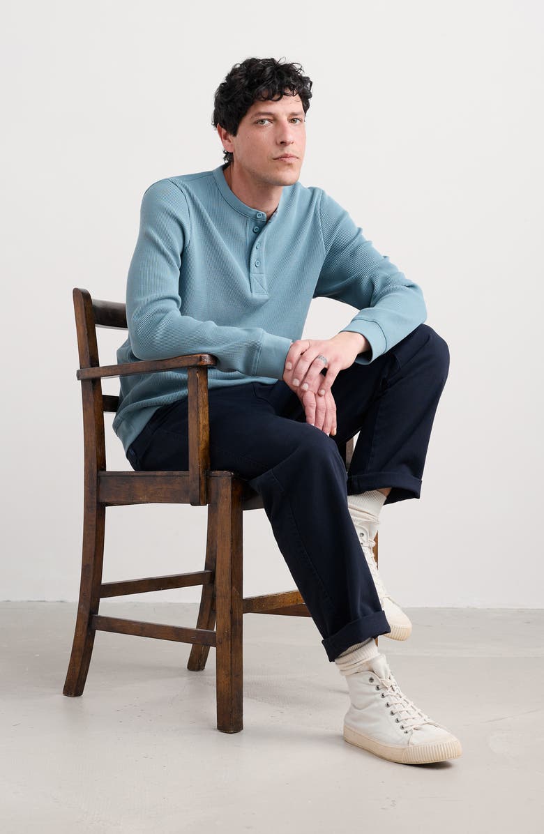 Seasalt Cornwall Brigantine Waffle Knit Organic Cotton Henley, Alternate, color, Hydrangea