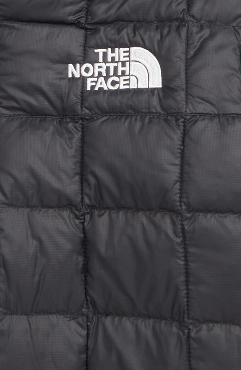The North Face Kids' Thermoball Hooded Water Repellent Jacket, Alternate, color, 