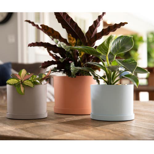 Bloem Mathers 6.5w X 8.5"h Gardening Planter With Saucer Tray, Muted Terra Cotta In Orange