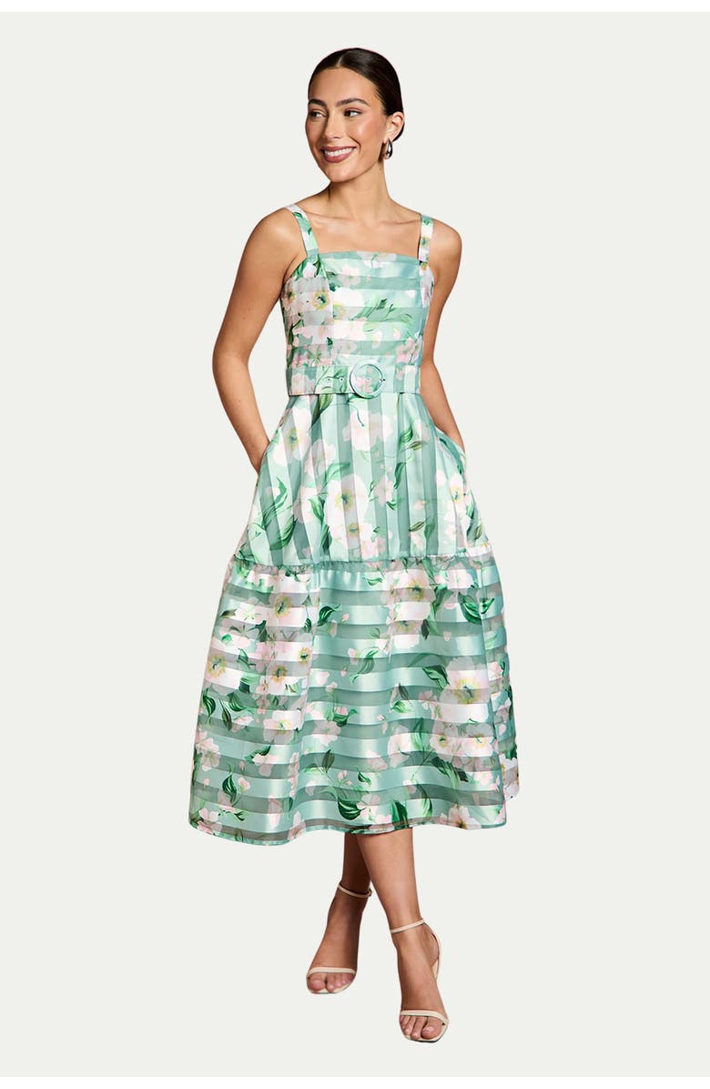 Coast Burnout Organza Midi Dress, Main, color, Sage