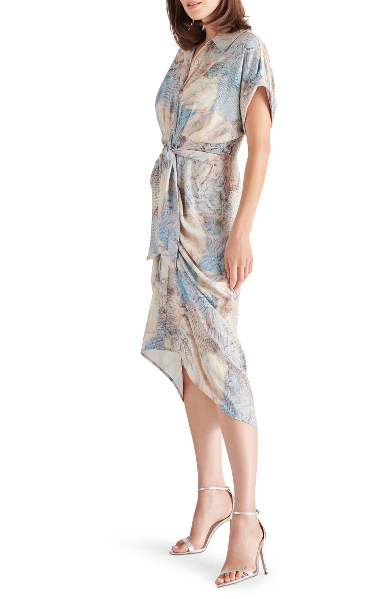 Steve Madden Tori Snakeskin Print Tie Waist Midi Shirtdress, Alternate, color, Blue/ Beige Multi