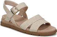 Dr. Scholl's Timeless Sandal