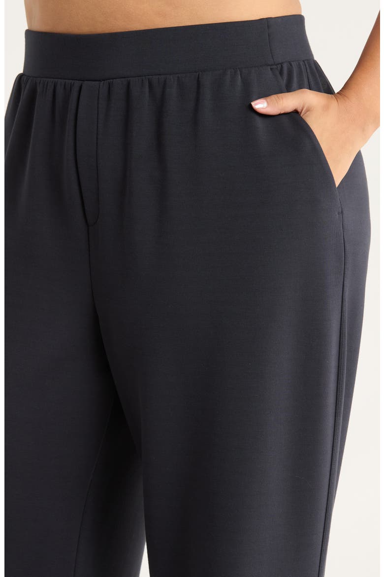 Ultrasoft Knit Straight Leg Pants, Alternate, color, BLACK