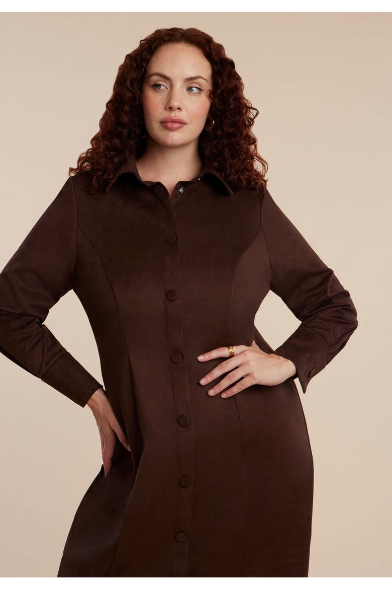 Suede Shirt Dress, Alternate, color, CHOCOLATE TORTE