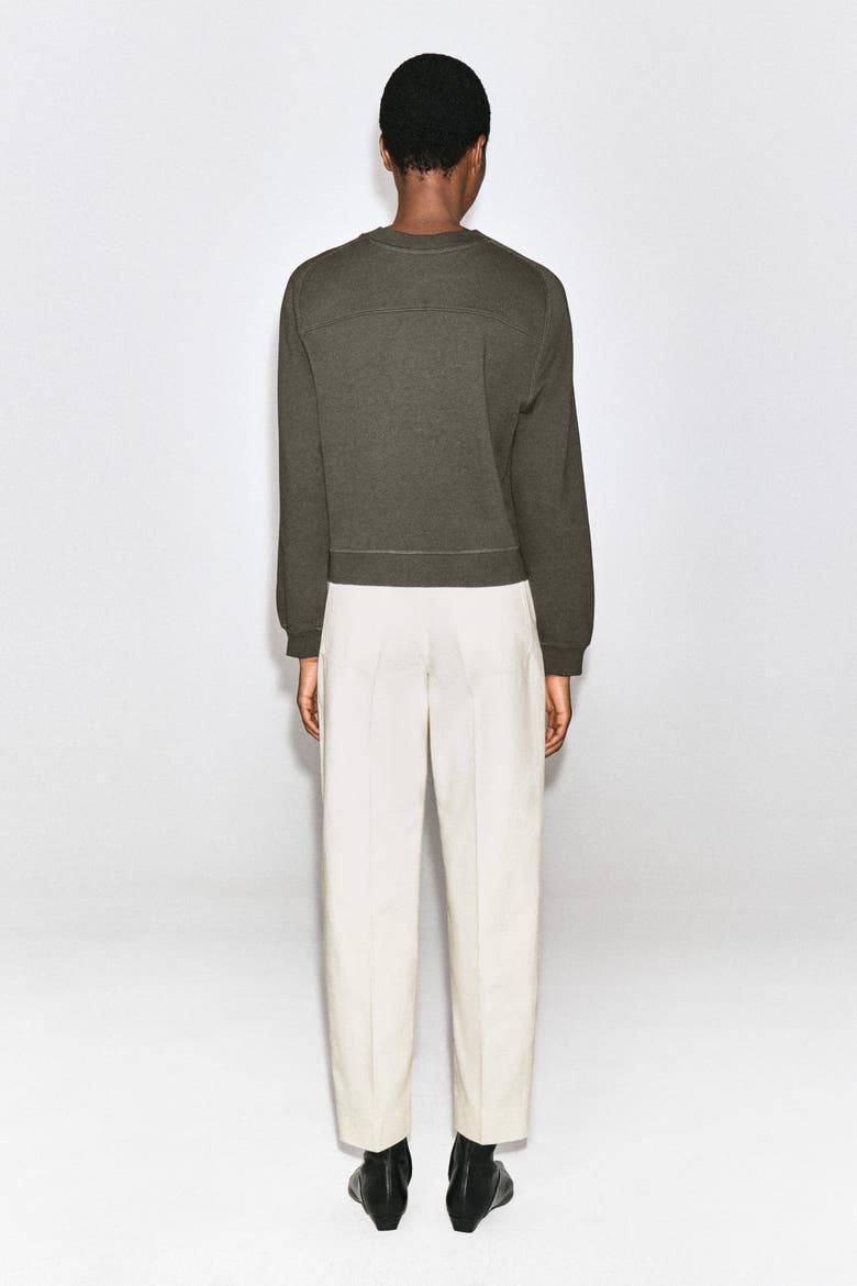 Cotton Sweatshirt, Alternate, color, BROWN